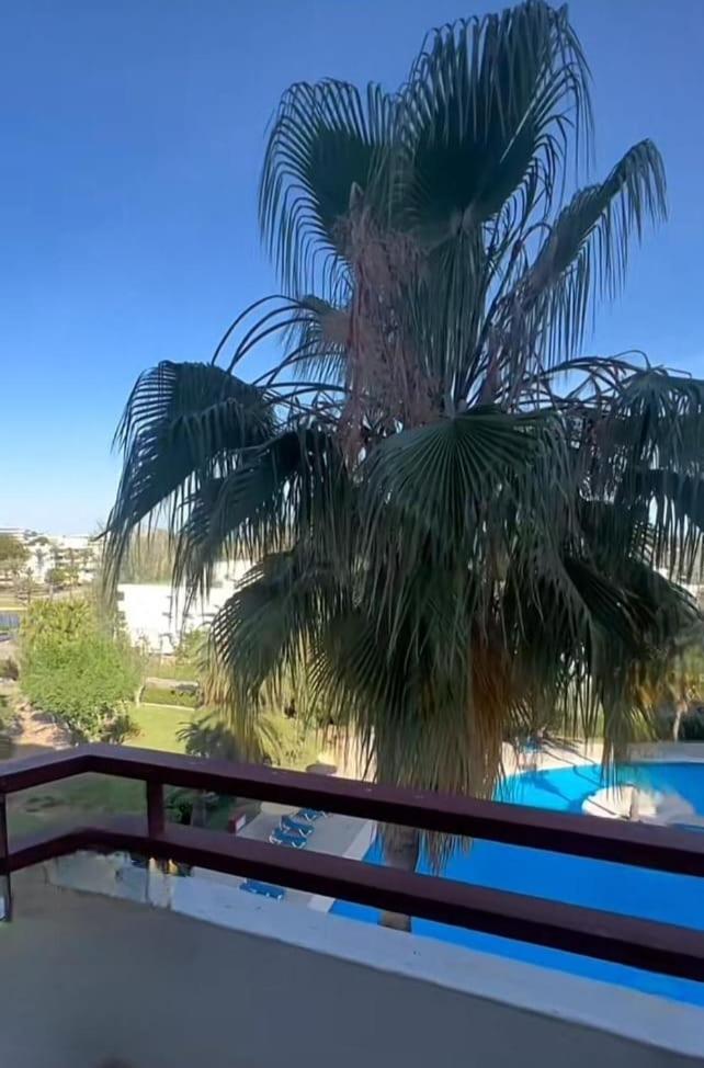 Bright In Puerto Alcudia Apartamento